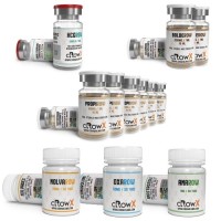 Beginner Lean Gain Cutting Cycle 2 (12 Week) cRowX Labs